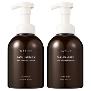 아브카 네이티브 딥모이스춰 포밍 핸드워시 바질 앤 만다린