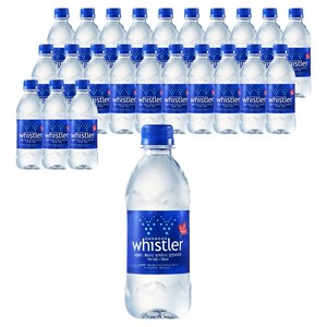 휘슬러 워터 생수, 350ml, 24개