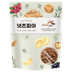 넛츠피아 피칸 분태, 200g, 1개