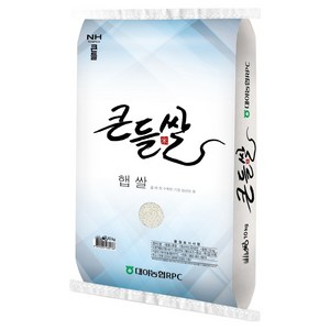 대야농협 큰들쌀 백미 상등급