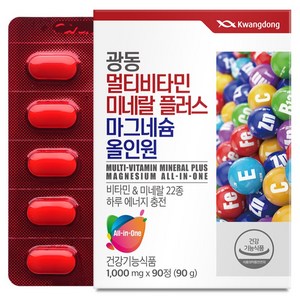 광동 멀티비타민 미네랄 플러스 마그네슘 올인원 90g, 90정, 1개