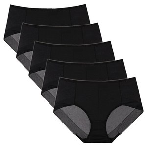 판도라by비비안 스키니 노라인 맥시 햄팬티 5p