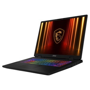 MSI 그레이 약 17인치에 해당함, 라이젠9, 1TB, 16GB, WIN11 Home, 2025.09