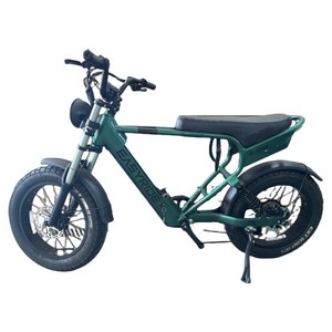 이지라이드 올터레인 48V 500W 15Ah 전동자전거 고객직접설치