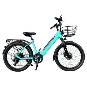 이지라이드 City-24 36V 500W 10Ah 이륜전기자전거 고객직접설치