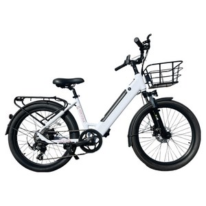 이지라이드 City-24 36V 500W 10Ah 이륜전기자전거 고객직접설치