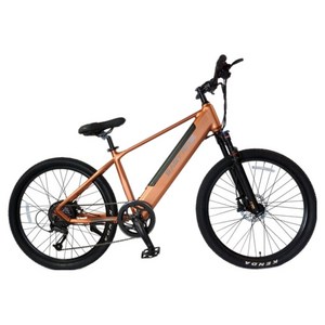 이지라이드 PRO 36V 350W 16.7Ah 전기자전거 EN-27.5 고객직접설치