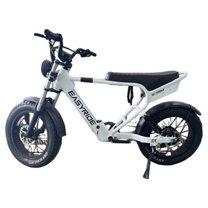 이지라이드 올터레인 48V 500W 15Ah 전동자전거 고객직접설치