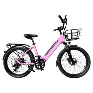 이지라이드 City-24 36V 500W 10Ah 이륜전기자전거 고객직접설치