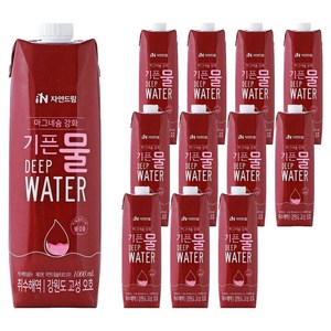 기픈물 자연드림 마그네슘 강화 종이팩 해양심층수, 1L, 12개
