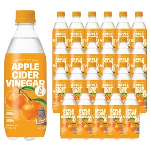 클룹 애사비소다 제주감귤 제로음료, 500ml, 24개