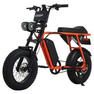 에이유테크 엑스트랙 몬스터 쿱 48V 15Ah 자토바이 고객직접설치