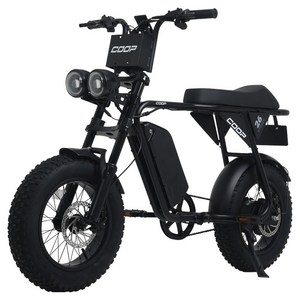 에이유테크 엑스트랙 몬스터 쿱 48V 15Ah 자토바이 고객직접설치