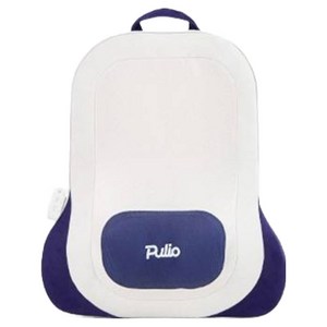 풀리오 등허리 쿠션 마사지기