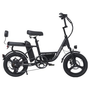 레이윙 캐리 라이트 컴팩트 전기자전거 삼성셀 배터리 20Ah 고객직접설치