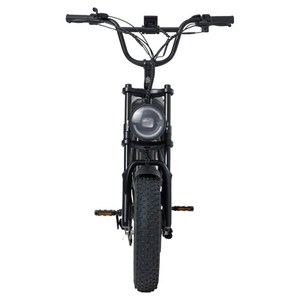 레이윙 드리프트 에어 전기자전거 20Ah 고객직접설치