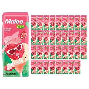 말리 리치맛 주스, 180ml, 36개