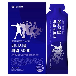 휴온스 에너지젤 파워 5000, 400g, 1개