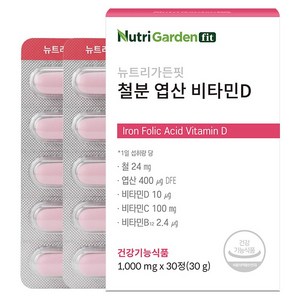 뉴트리가든핏 철분 엽산 비타민D 30g, 30정, 1개
