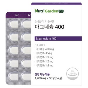 뉴트리가든 핏 마그네슘 400, 30정, 1개