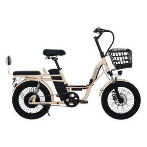 레이윙 캐리 미 동반좌석 전기자전거 10.4Ah 고객직접설치