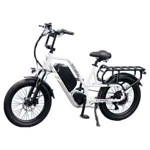 레이윙 캐리 삼성셀 배터리 20Ah 전기자전거 고객직접설치