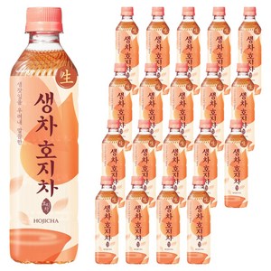 웅진 생차 호지차, 500ml, 20개
