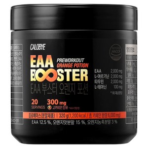 칼로바이 EAA 부스터 오렌지 포션, 320g, 1개