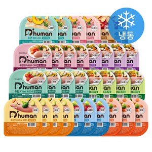 듀먼 전연령 강아지 10종 버라이어티 화식사료 50g x 32개입 세트 (냉동), 1세트
