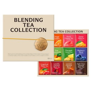 담터 블랜딩티 컬렉션 세트 + 쇼핑백, 티백 12종 x 4..., 1세트