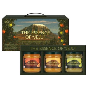 담터 제주 액상차 3종 선물세트, 한라봉청 300g ..., 1세트