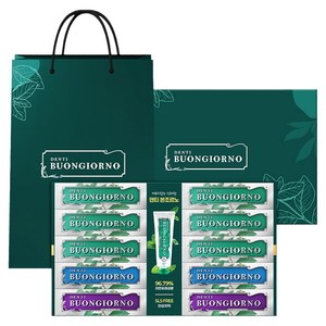덴티본조르노 치약 구취 100g x 6p + 잇몸 100g x 2p + 치석 100g x 2p 선물세트 + 쇼핑백, 1세트