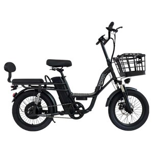 레이윙 캐리 미 동반좌석 전기자전거 10.4Ah 고객직접설치