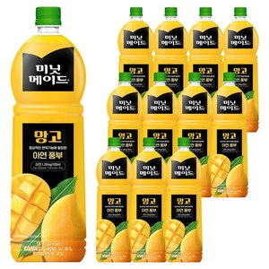 미닛메이드 망고 주스, 1.5L, 12개