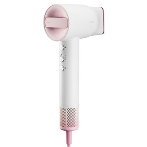 이오시카 1600W 인텐스 케어 프로 BLDC 모터 110, 헤어드라이어