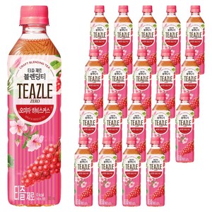 티즐 제로 오미자 히비스커스, 500ml, 20개