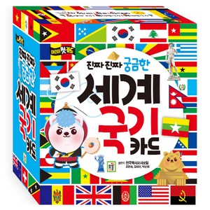 진짜 진짜 궁금한 세계 국기 카드