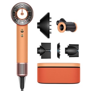 다이슨 슈퍼소닉 뉴럴 헤어드라이어