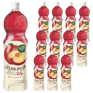 자연은 자두 음료, 1.5L, 12개