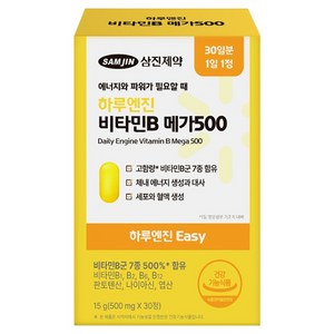 삼진제약 하루엔진 이지 비타민B 메가 500 15g, 30정, 1개
