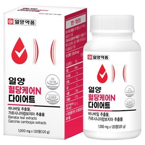 일양약품 혈당케어 N 다이어트, 120정, 1개