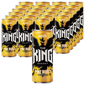 핫식스 더 킹 파인버스트, 355ml, 24개