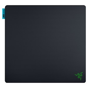 레이저 Gigantus V2 Pro Control 게이밍 마우스 패드 RZ02-0549