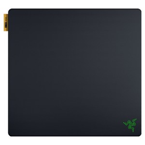 레이저 Gigantus V2 Pro Speed 게이밍 마우스패드 L