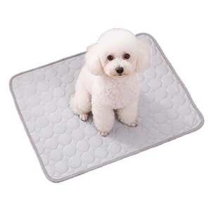 레몽크리프 강아지 고양이 아이스쿨매트