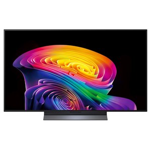 LG전자 4K UHD OLED evo AI TV