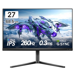 필립스 QHD 에브니아 260 FAST IPS 프리싱크 HDR 400 게이밍 무결점 모니터