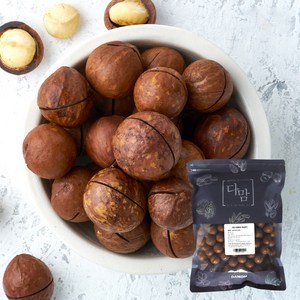다맘 껍질 마카다미아, 1kg, 1개