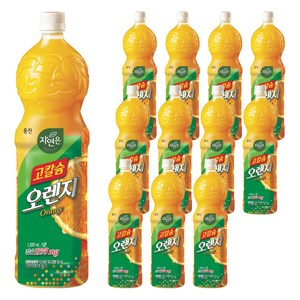 자연은 고칼슘 오렌지 페트 1.5L, 1.5L, 12개