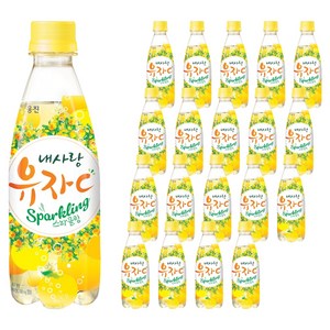 내사랑유자씨 스파클링, 350ml, 20개